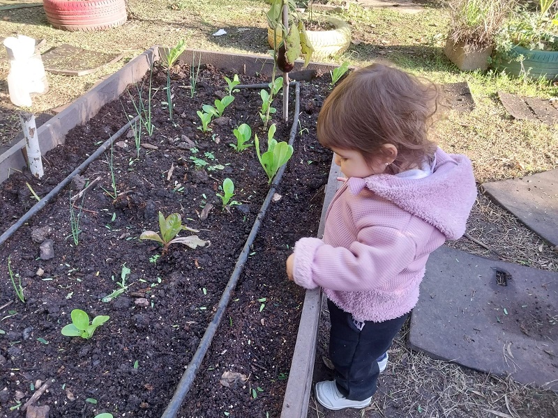 EDUCACION AMBIENTAL